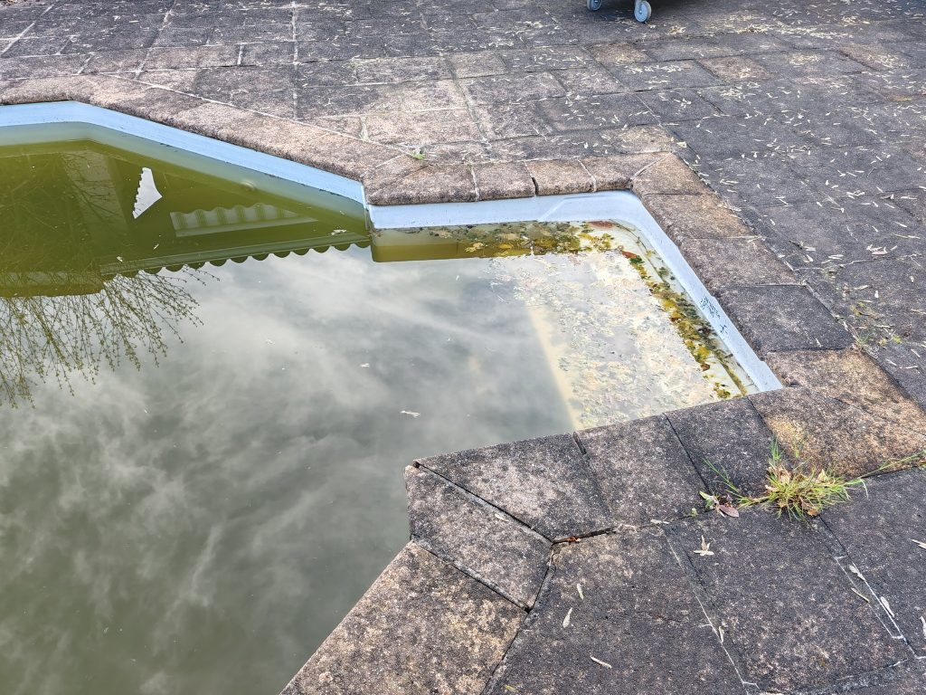 Peut être une image de étendue d’eau