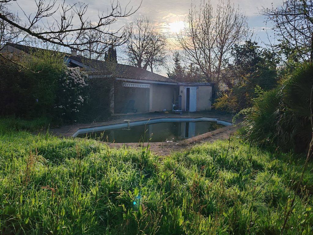 Peut être une image de herbe